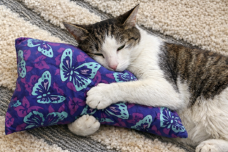 Made with a beautiful two tone purple adorned with a butterfly print. Support pillow with buckwheat hulls, lavender scented. Adjustable firm or soft, neck roll side, back sleepers and cat lovers rejoice. Not microwaveable.