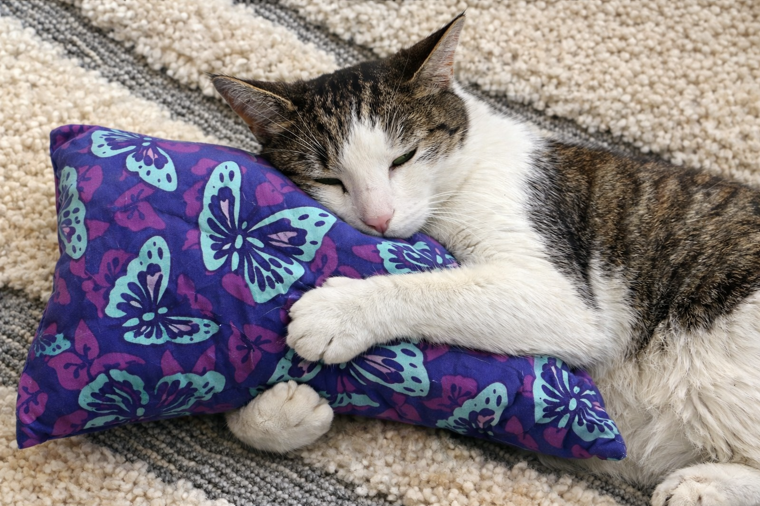 Made with a beautiful two tone purple adorned with a butterfly print. Support pillow with buckwheat hulls, lavender scented. Adjustable firm or soft, neck roll side, back sleepers and cat lovers rejoice. Not microwaveable. - Image 2